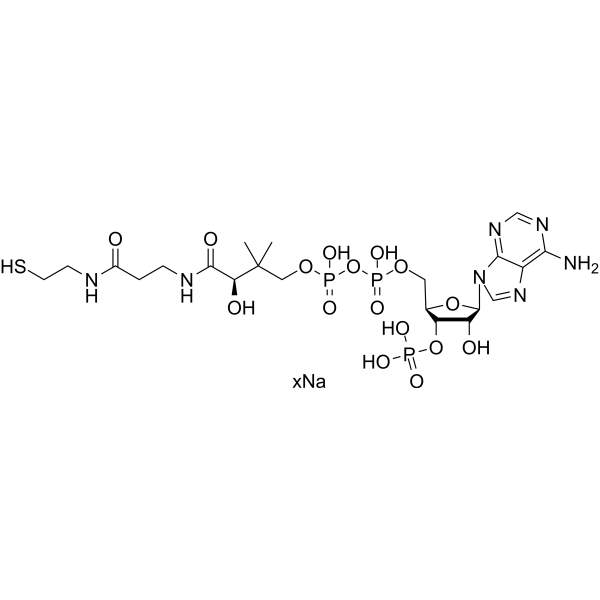 Coenzyme A sodium 55672-92-9